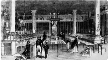 Sala dei campioni del Royal Society of Arts (1847)